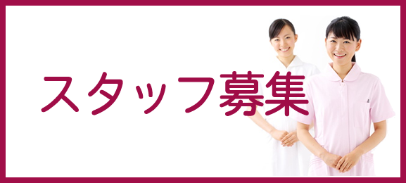 スタッフ募集